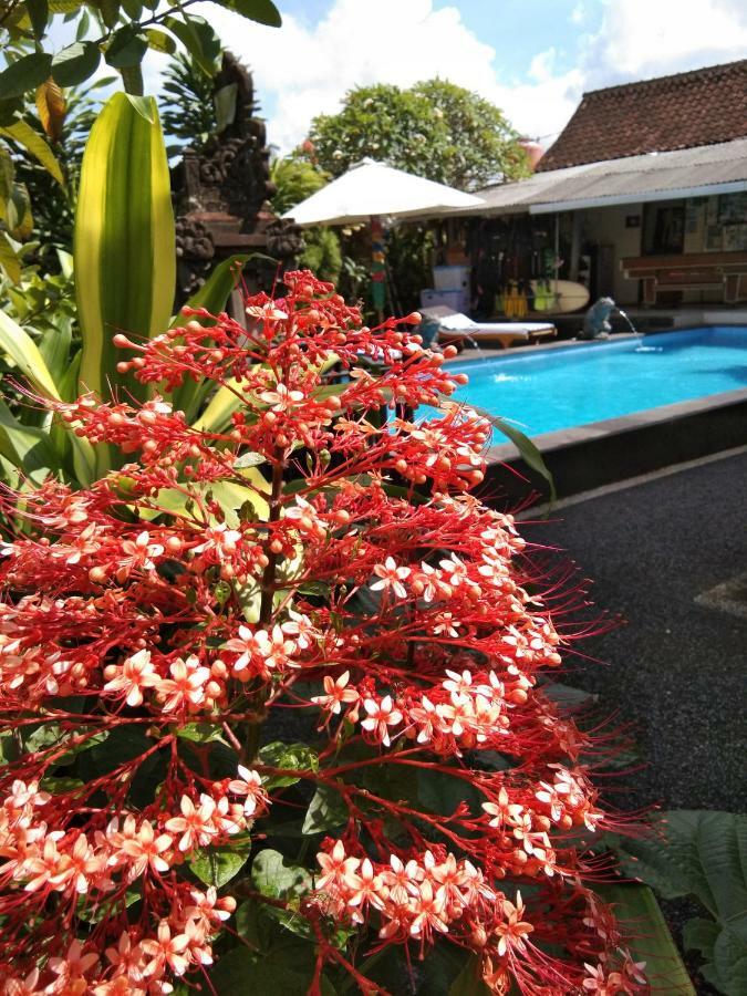 Sunwukong Guest House Ubud Kültér fotó